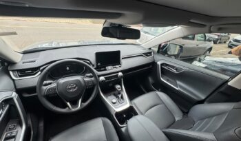 RAV-4 full
