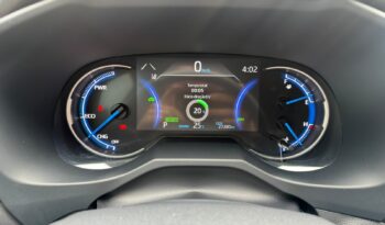 RAV-4 full