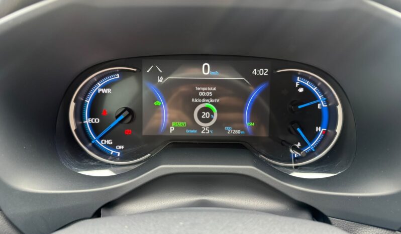 RAV-4 full